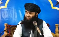 اتهام سلفی‌ها بر طالبان/ در حاکمیت طالبان، ۳۰۰ سلفی کشته‌ شده‌اند