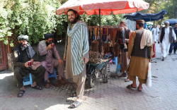 خوانش مناسبات درونی طالبان