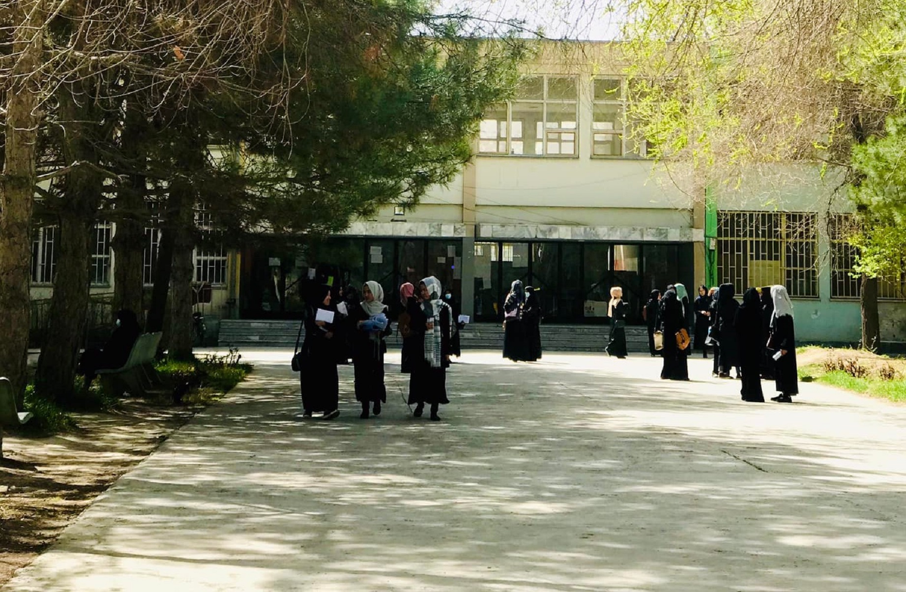 دانشگاه کابل