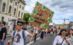 قانونی‌شدن ماریجوانا در جرمنی